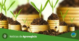 Com tarifaço de Trump, exportações para EUA caem 6,6% em 2025