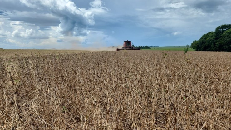 Copagril recebe primeira carga de soja da safra 2025/2026 ainda em dezembro