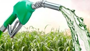 DATAGRO: Exportações brasileiras de etanol registram pior desempenho em oito anos