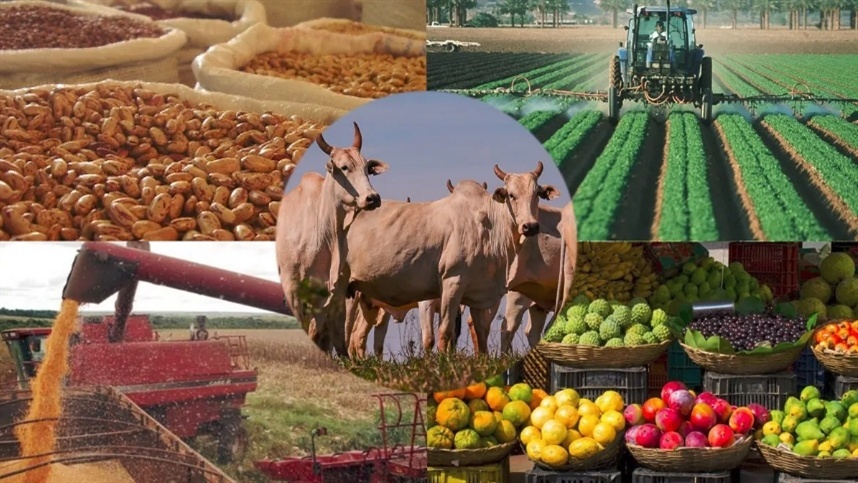 Estiagem e tarifas afetam exportações do agro gaúcho