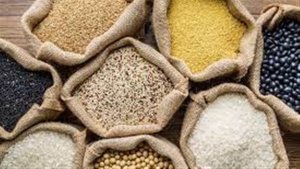 Exportações baixas reduzem transporte de grãos no Piauí