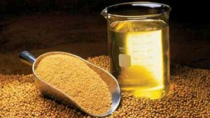 Exportações de farelo crescem levemente em 2025