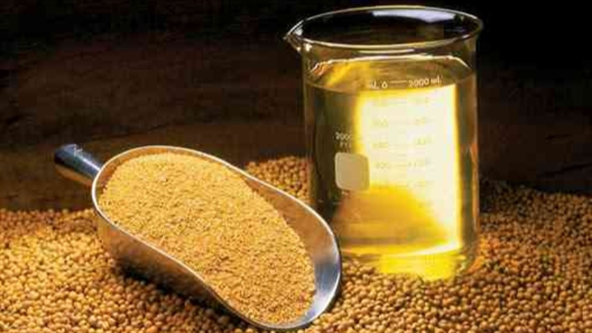 Exportações de farelo crescem levemente em 2025