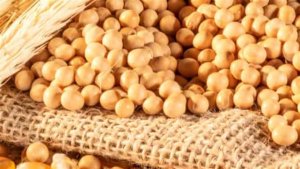 Exportações elevam fluxo logístico em MS no fim de 2025