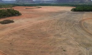 Exportadores de soja deixam acordo sobre desmatamento na Amazônia