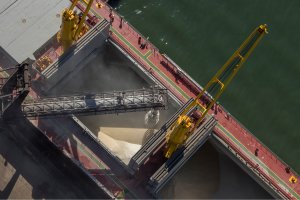 Faturamento médio diário com exportações de açúcar cai 19,4% em dezembro