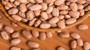 Feijão/Cepea: Ano de consolidação e ampliação do projeto feijão