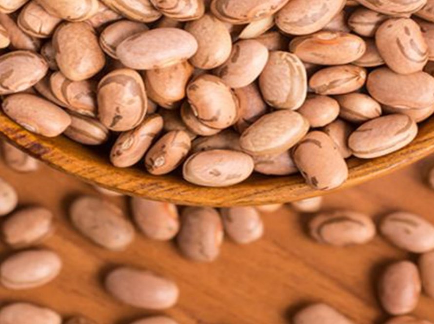 Feijão/Cepea: Ano de consolidação e ampliação do projeto feijão