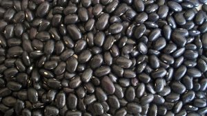 Produção de feijão deve cair e exportações recuam 53,8%