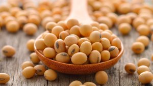 Soja encerra primeiro pregão de 2026 se desvalorizando na Bolsa de Chicago