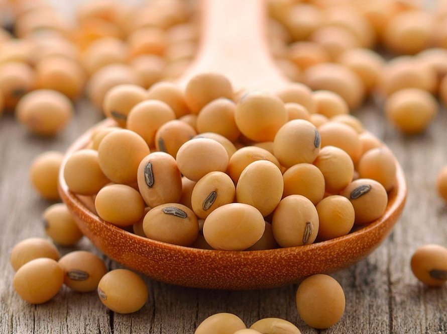 Soja encerra primeiro pregão de 2026 se desvalorizando na Bolsa de Chicago