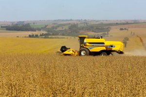 Soja no Paraná se aproxima de safra histórica e reforça otimismo no campo