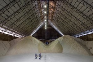 Volume médio de exportações de açúcar até o momento deste mês supera em 15,9% a média de janeiro de 2025