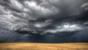 Aprosoja MT alerta que chuvas desafiam colheita da soja e plantio da safrinha de milho em Mato Grosso