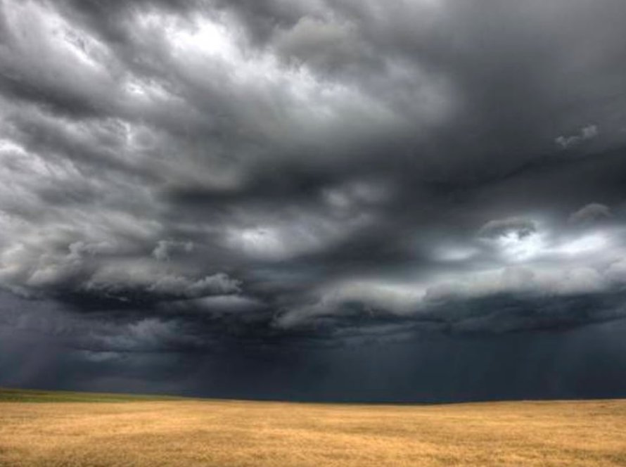 Aprosoja MT alerta que chuvas desafiam colheita da soja e plantio da safrinha de milho em Mato Grosso