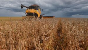 Bahia reforça força na soja e mantém 7ª posição na produção de grãos