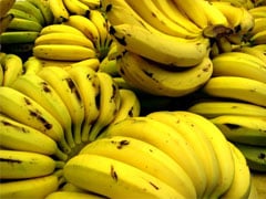 Banana/Cepea: Mesmo com queda nas exportações, janeiro ultrapassa embarques de 2025