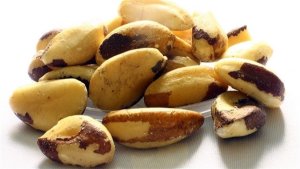 Brasil fecha acordo para exportar castanha à Turquia