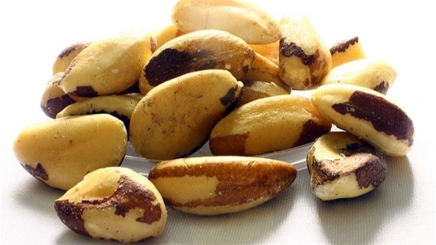 Brasil fecha acordo para exportar castanha à Turquia