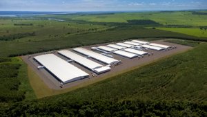 Chile habilita Núcleo Genético Gênesis para exportação de suínos de reprodução