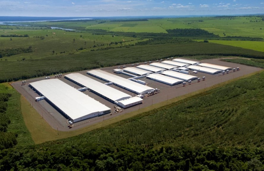 Chile habilita Núcleo Genético Gênesis para exportação de suínos de reprodução