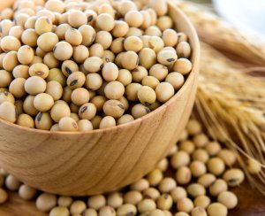 Coamo vê vendas de soja mais lentas e preocupação logística com grande safra