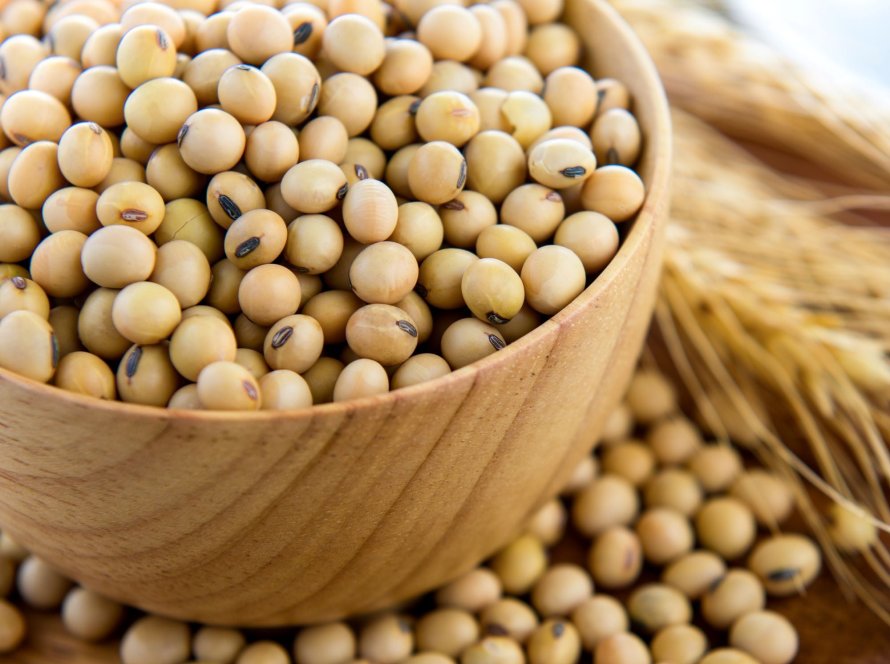 Coamo vê vendas de soja mais lentas e preocupação logística com grande safra