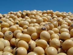 Colheita de soja começa no Rio Grande do Sul, aponta Emater