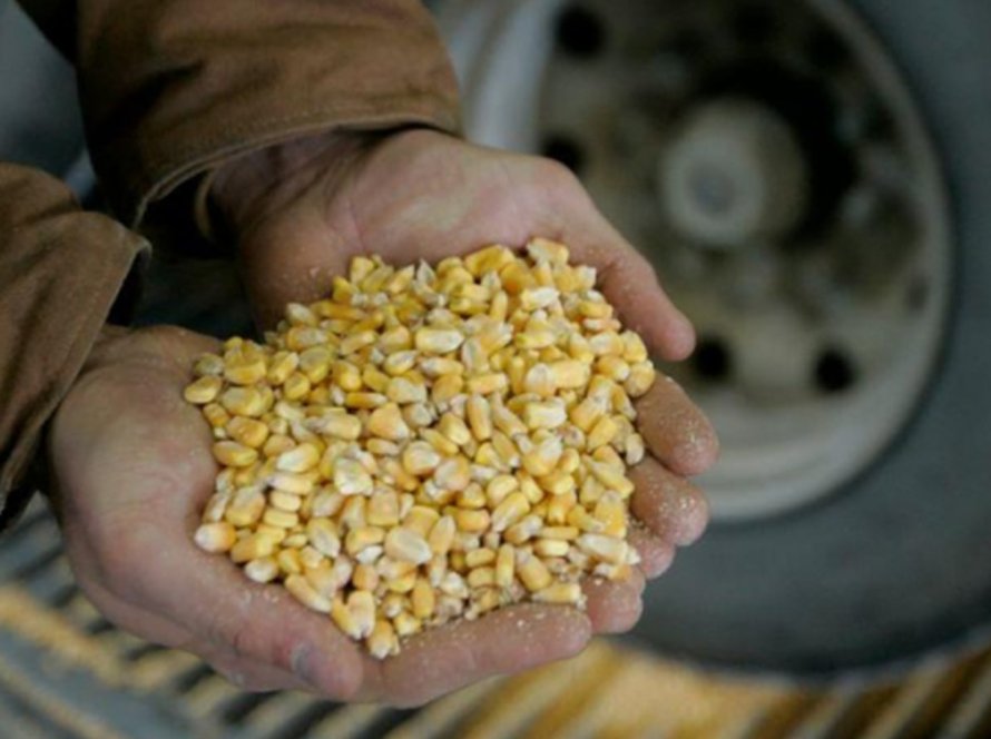 Com soja e exportações fortes, milho passa a subir em Chicago nesta quinta-feira