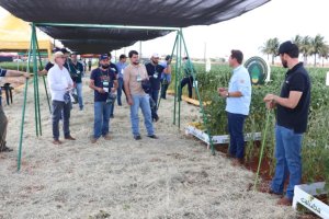 Copagril promove Dias de Campo no Paraná e Mato Grosso do Sul para orientar produtores