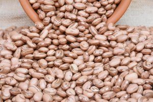 Dia do Feijão:  Data reforça o valor do grão para o produtor e aponta caminhos para consumo e rentabilidade