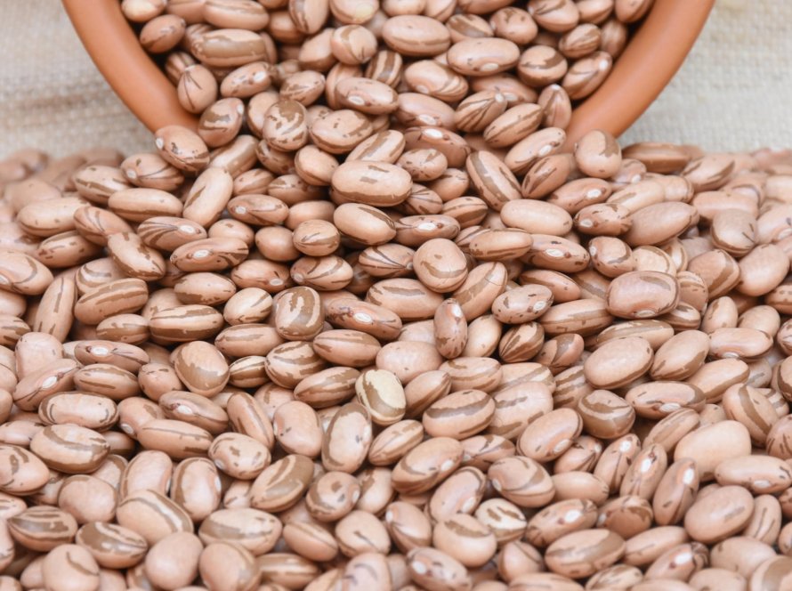 Dia do Feijão:  Data reforça o valor do grão para o produtor e aponta caminhos para consumo e rentabilidade