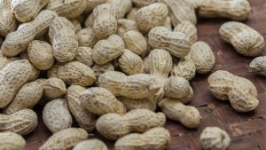 Exportação de amendoim bate recorde