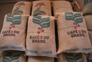 Exportação de café do Brasil pode atingir recorde perto de 47 mi sacas em 26/27, prevê Hedgepoint