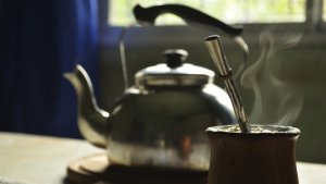 Exportação de erva-mate perde ritmo