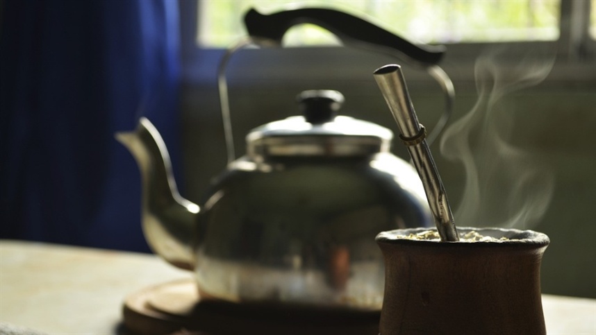 Exportação de erva-mate perde ritmo