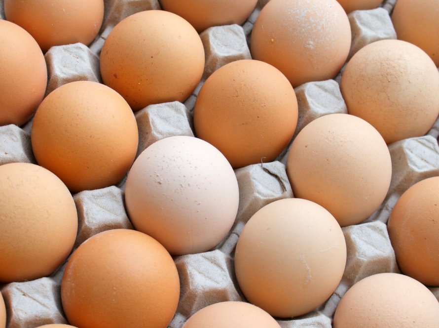 Exportação de ovos do Espírito Santo dispara e impulsiona agronegócio