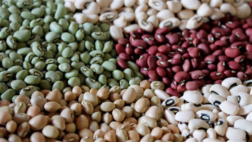 Exportações brasileiras de pulses crescem 30% em 2025