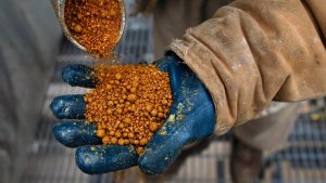 Inpasa abre nova rota de exportação de DDGS para o mercado chinês