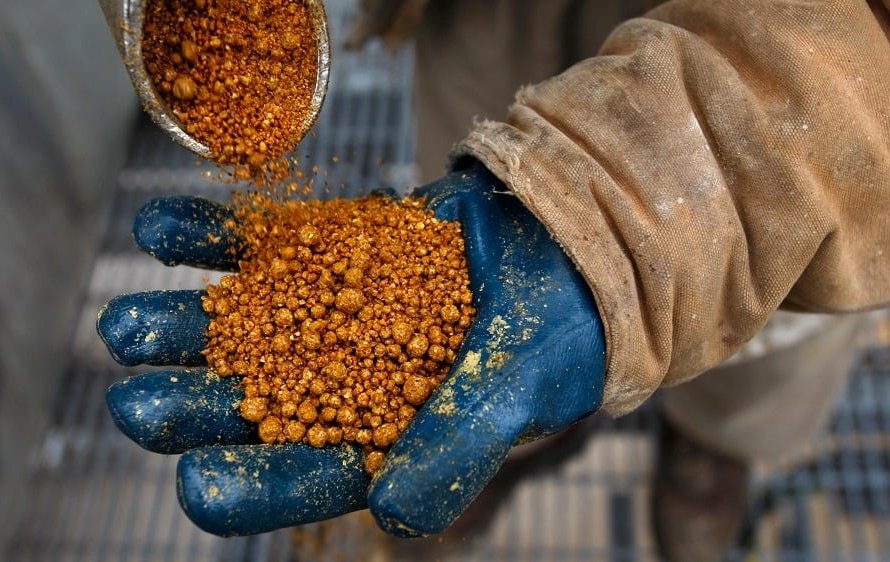 Inpasa abre nova rota de exportação de DDGS para o mercado chinês