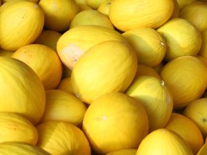 Melão/Cepea: Exportações recuam em janeiro