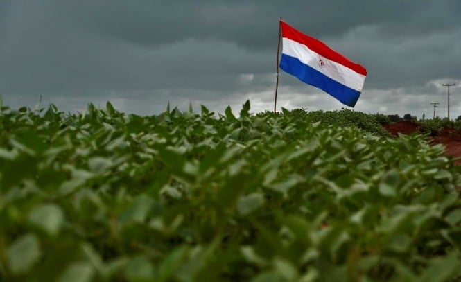 Produção de soja no Paraguai pode bater recorde e chegar a 11,53 milhões de toneladas