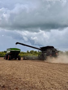Produtividade da soja do RS deve sofrer cortes após tempo seco e quente, diz Emater