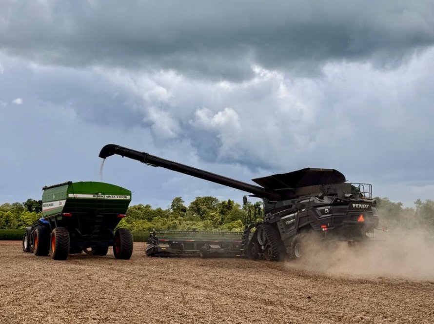 Produtividade da soja do RS deve sofrer cortes após tempo seco e quente, diz Emater