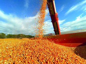 Safra americana 2026/27 redesenha cenário para exportações brasileiras de grãos