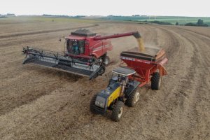 Safra histórica e avanço logístico impulsionam desempenho econômico do Paraná