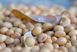 Soja segue estável em Chicago nesta 5ª feira, após USDA dentro das expectativas