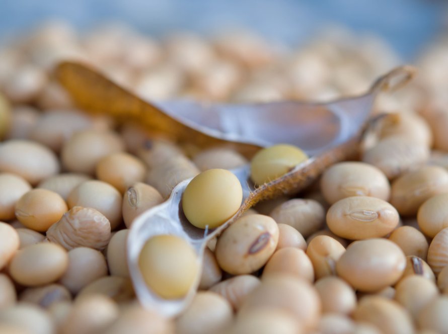 Soja segue estável em Chicago nesta 5ª feira, após USDA dentro das expectativas