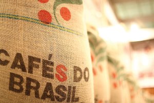 Café tem 6ª feira (6) de variações em NY e altas para o robusta em Londres; mercado acompanha exportações do Brasil