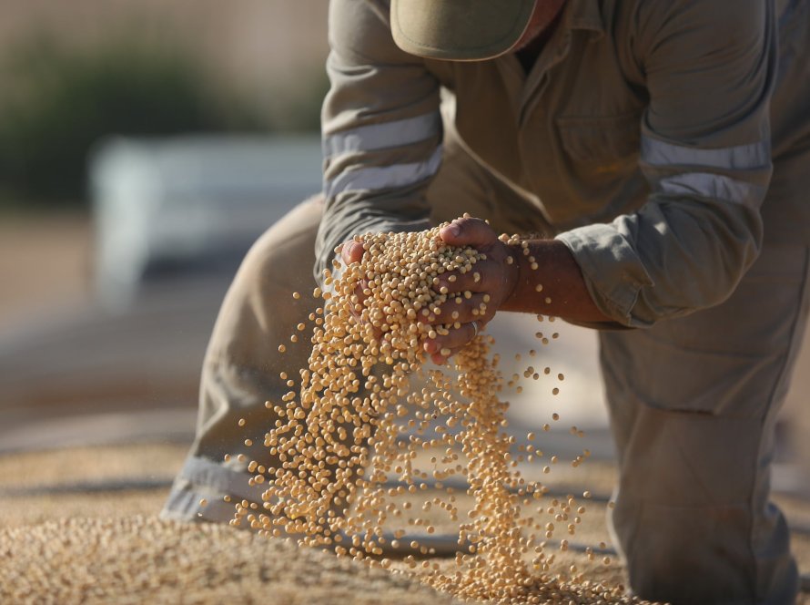 China e Brasil se encontram nos próximos dias para discutir inspeção da soja em meio a liquidez reduzida do mercado